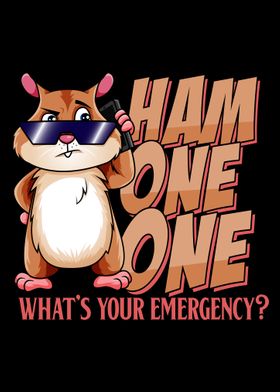 Ham One One Emergency