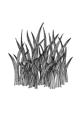 Grass Blades