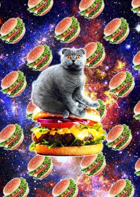 Hamburger Astro Cat