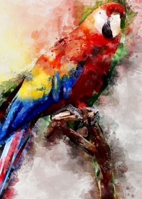 Parrot Watercolor Art