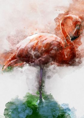 Flamingo Watercolor Art