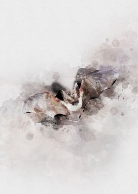 The Bat Watercolor Art