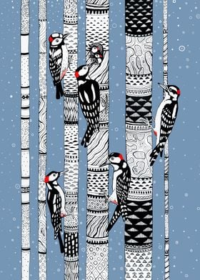 Woodpecker birds in forest
