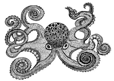 Octopus