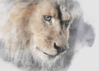 lion