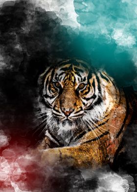 Sumatran Tiger Art