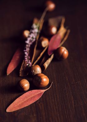 Assorted brown nuts