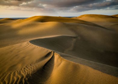 Dune sculptures