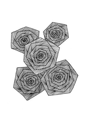 Linear Roses