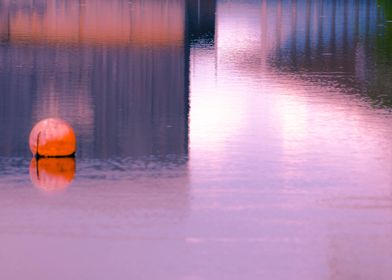 Reflection And Orange Ball