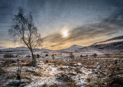 The first dusting of snow