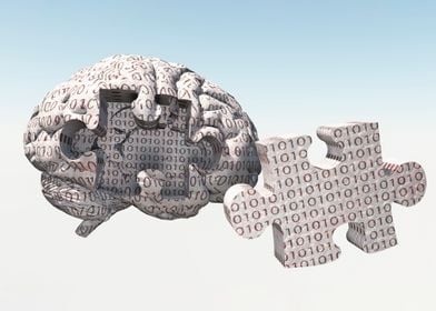 Binary Brain Puzzle