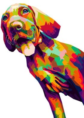 Colorful Pointer