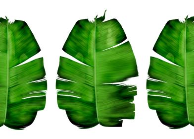 Banana Leaf Art