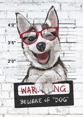 Husky Wanted on Brick Wall