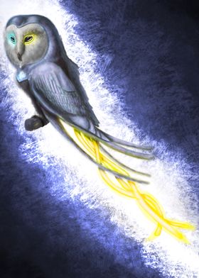 Magic Owl