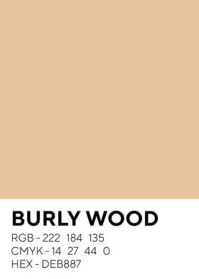 Burly Wood Color