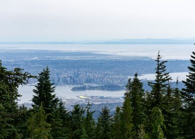 The Vancouver Skyline