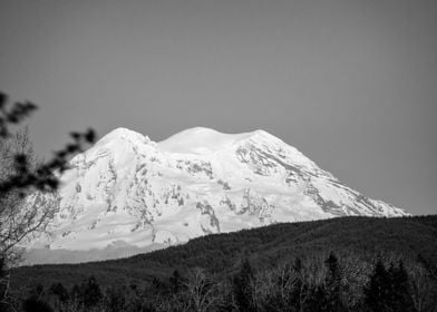 Mt Rainier 