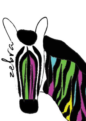 Disco Zebra