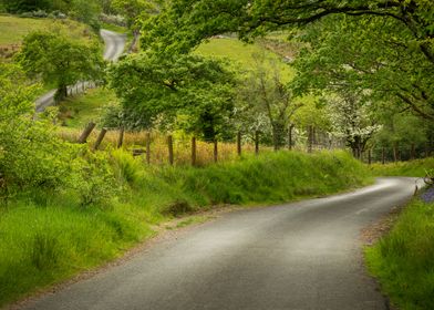 winding Welsh country road