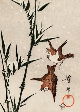 Bamboo and birds