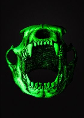 Bear skull Green