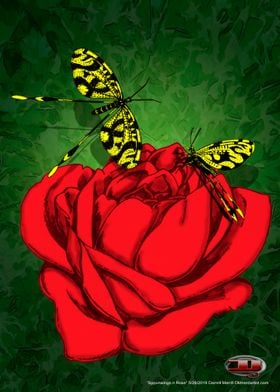 Spoonwings & Roses