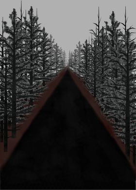 Road between Pines