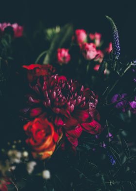 Assorted red flowers