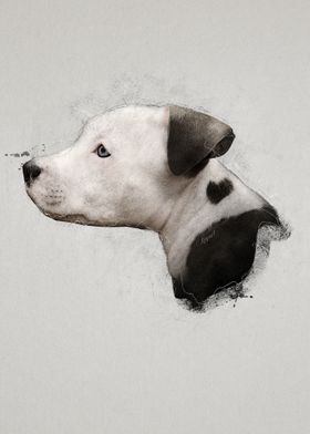 Download Pitbull Puppy Portrait Poster By Birds And Beasts By Kesart Displate