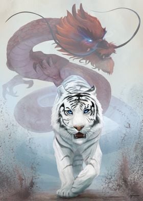 Tiger and the Dragon