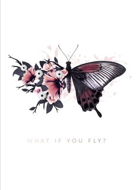 What if you fly
