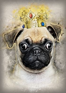 King of the Pug Dogs