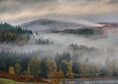 Autumn mist