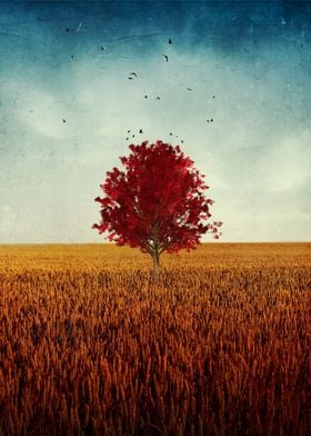 other  Red Tree in Field