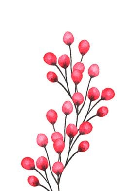 Red Flower Bud