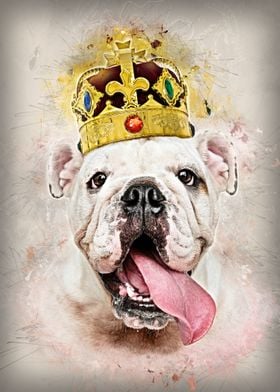 King Bulldog