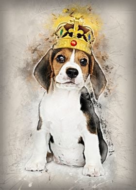 Prince Beagle Dog