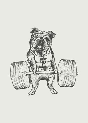 English Bulldog  Lift