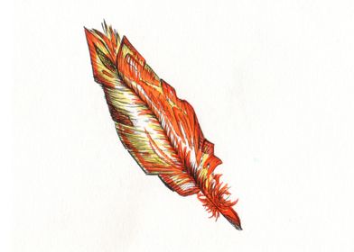 Feather 