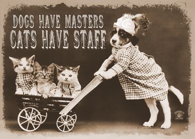 Vintage Cats Have Staff