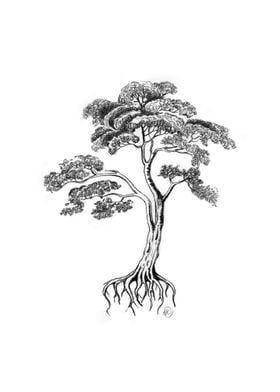 Living Tree 