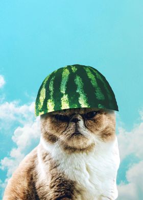 Cute Funny Watermelon Cat