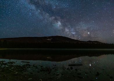 The Milky Way Galaxy 