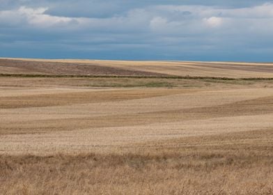 Sweeping Farmland 