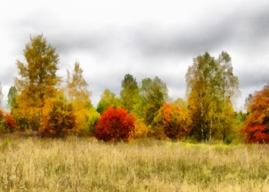 Autumn forest