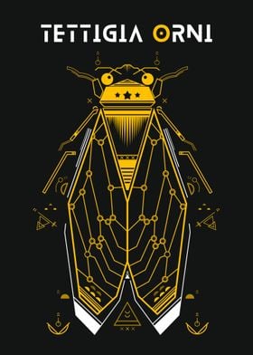 Bee Tettigia Orni