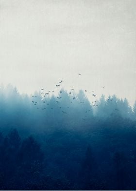 Misty Blue Forest