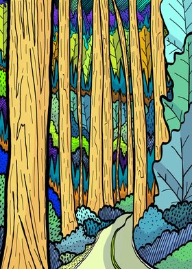 Yellow bark forest